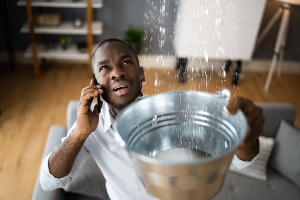 Best Professional water damage repair  in Youngstown, NY
