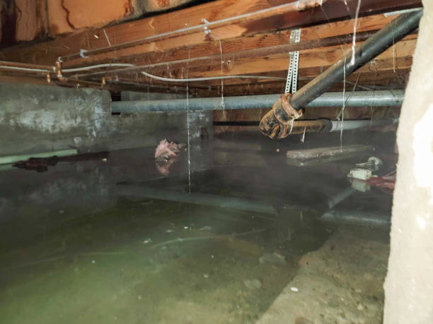 Best 24-hour water damage restoration  in Youngstown, NY