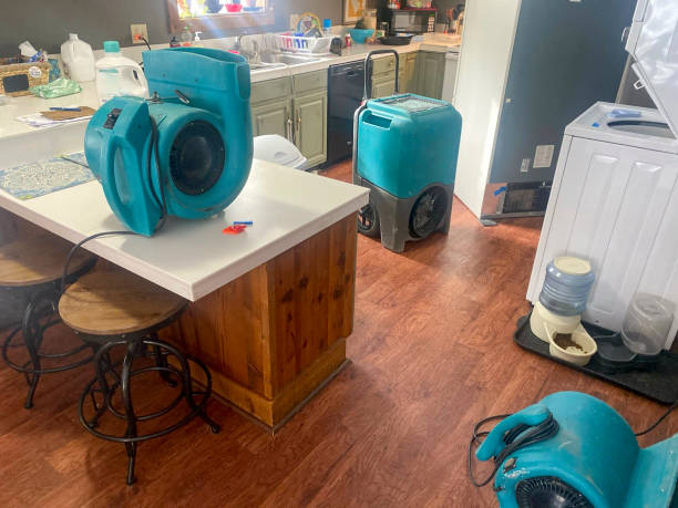 Best Water damage restoration near me  in Youngstown, NY