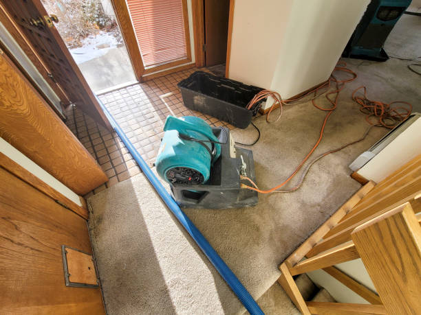 Best Flooded house restoration  in Youngstown, NY