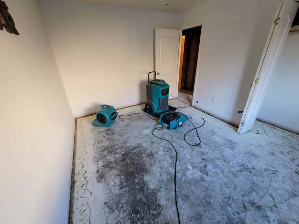Water damage restoration experts in Youngstown, NY