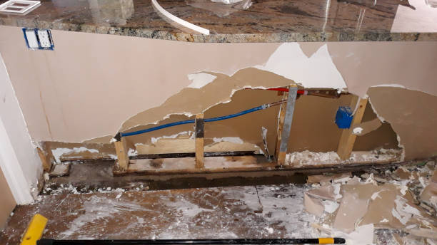 Best Water damage restoration services  in Youngstown, NY