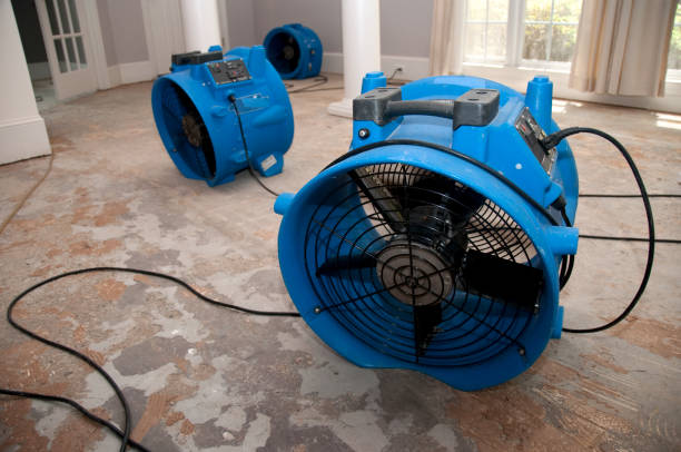 Best Water damage contractors near me  in Youngstown, NY