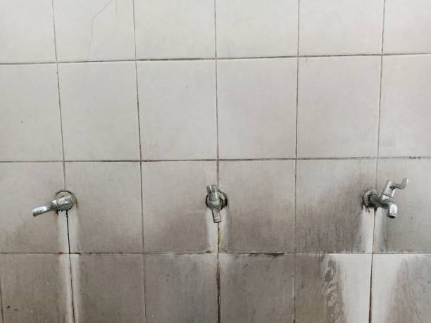  Youngstown, NY Water damage restoration Pros