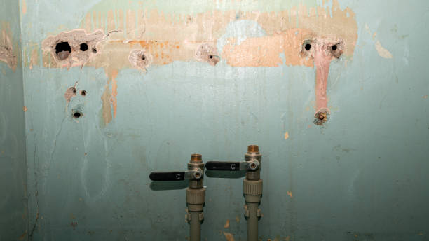 Best Ceiling water damage repair  in Youngstown, NY