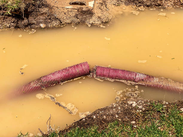 Best Basement water damage restoration  in Youngstown, NY