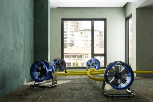 Best Emergency water damage restoration  in Youngstown, NY